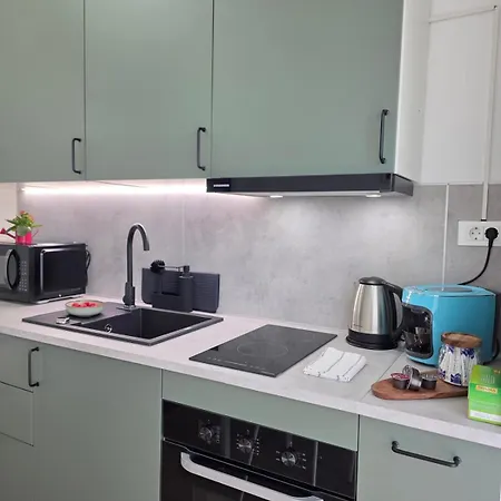 Lety's Cosy Apartment, Free Parking And Wifi Timisoara